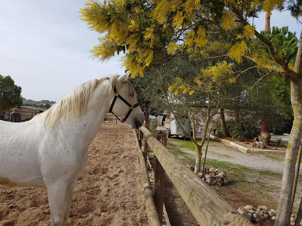 Finca Caballo Blanco 호텔 몬투이리 외부 사진