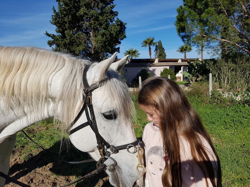 Finca Caballo Blanco 호텔 몬투이리 외부 사진